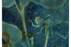 Cyanotype over Photopolymer