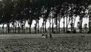 Field workers. Flanders.