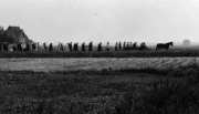 Funeral Procession. Terschelling, Netherlands.