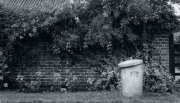 Overgrown Cottage.  Wiltshire, England.